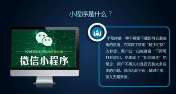 企業官網建設 電腦 手機 小程序 完美解決方案,成本非常低